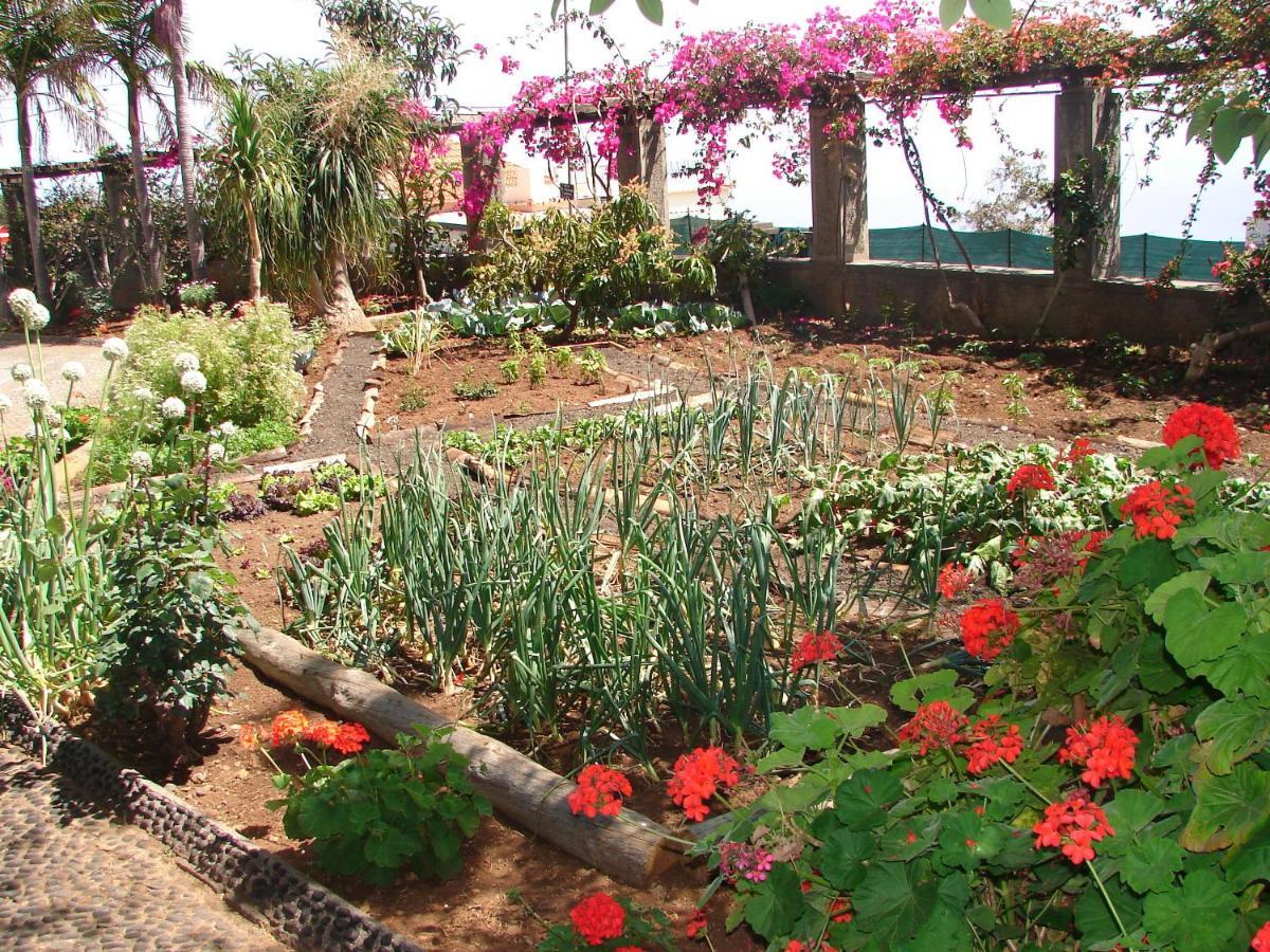 Quinta Do Bom Sucesso Apartment ฟุงชาล ภายนอก รูปภาพ