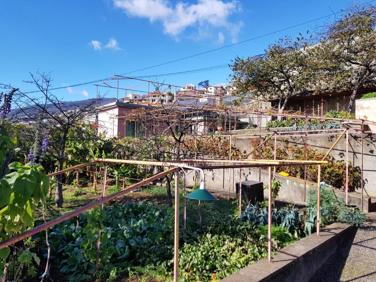 Quinta Do Bom Sucesso Apartment ฟุงชาล ภายนอก รูปภาพ
